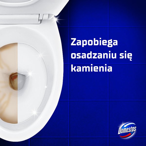 Domestos Przedłużona Moc Pine Fresh Płyn czyszcząco-dezynfekujący 1 l