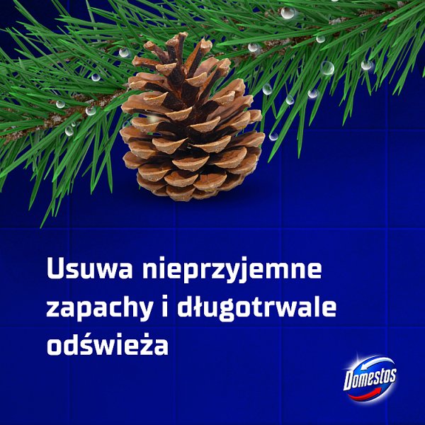 Domestos Przedłużona Moc Pine Fresh Płyn czyszcząco-dezynfekujący 1 l