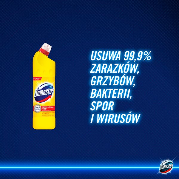 Domestos Przedłużona Moc Citrus Fresh Płyn czyszcząco-dezynfekujący 1 l