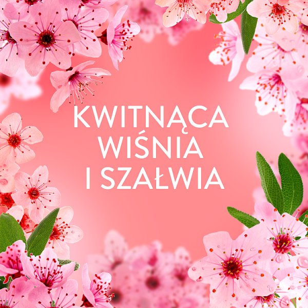 Lenor Płyn do płukania tkanin,  32 prań, Cherry Blossom &amp; Sage