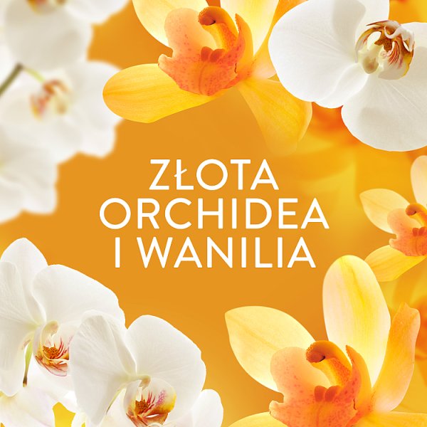 Lenor Perełki zapachowe 195gGold Orchid &amp; Vanilla