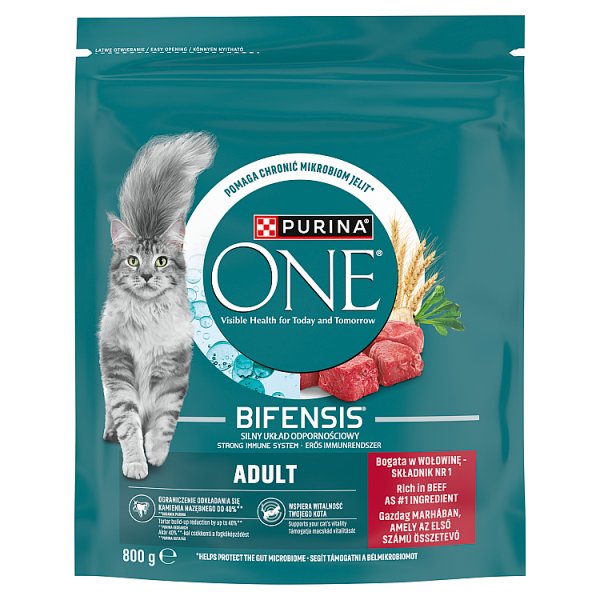 PURINA ONE Bifensis Adult Karma dla kotów bogata w wołowinę 800 g