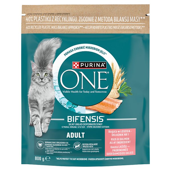 PURINA ONE Adult Karma dla kotów bogata w łososia 800 g