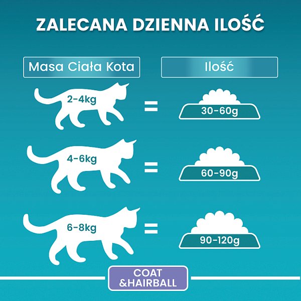 PURINA ONE Bifensis Coat &amp; Hairball Karma dla kotów bogata w kurczaka 800 g