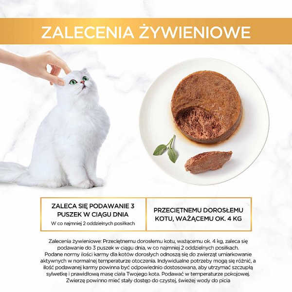 Gourmet Gold Karma dla kotów pasztet z kawałkami królika 85 g
