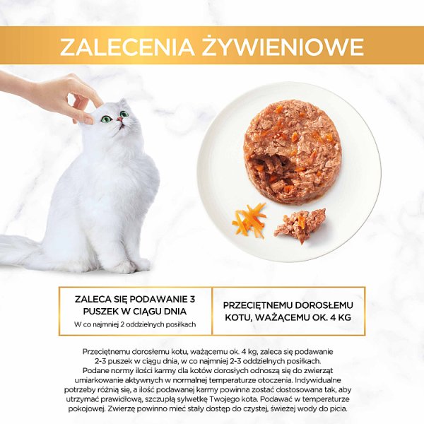 Gourmet Gold Karma dla kotów savoury cake z kurczakiem i marchewką 85 g