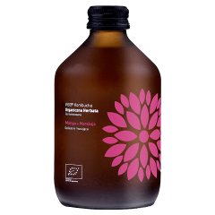 Vigo Kombucha mango + marakuja 330 ml