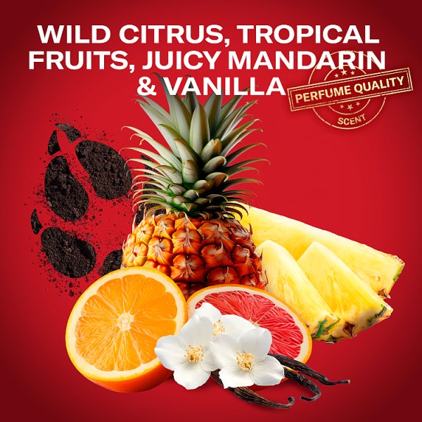 Old Spice Wolfthorn Dezodorant w sprayu dla mężczyzn 150ml