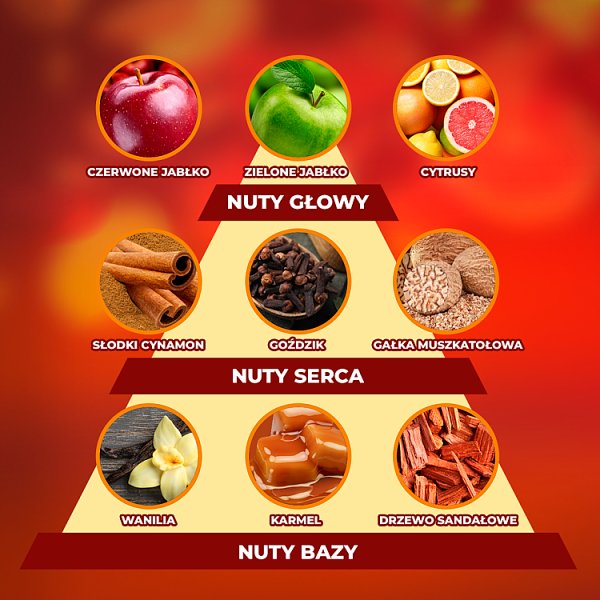 Air Wick Wkład zapachowy owocowa sangria z przyprawami 250 ml