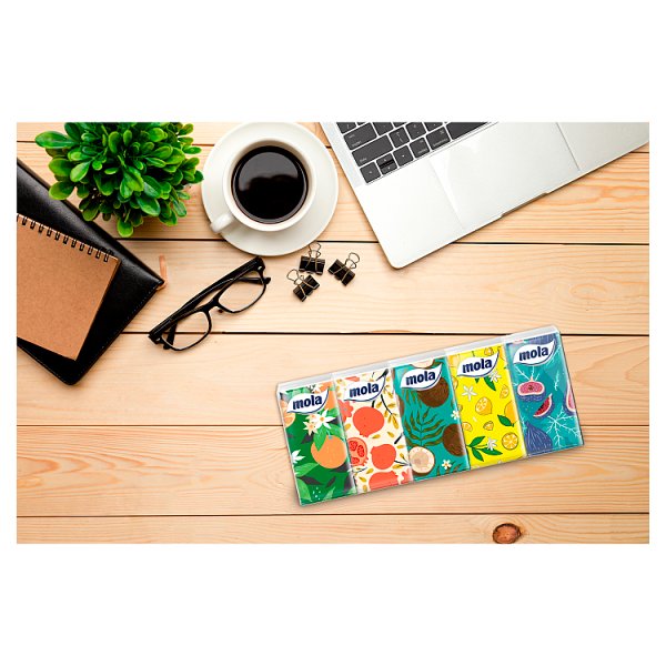 Mola Chusteczki higieniczne 3 warstwowe 100 sztuk