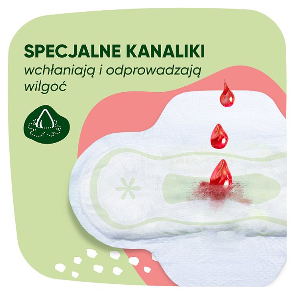 Naturella Classic Normal rozmiar 2 Podpaski ze skrzydełkami, × 10
