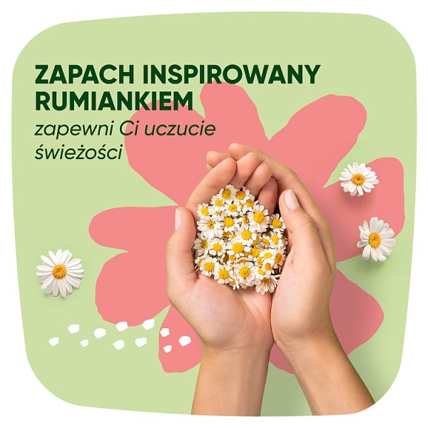 Naturella Classic Normal rozmiar 2 Podpaski ze skrzydełkami, × 10