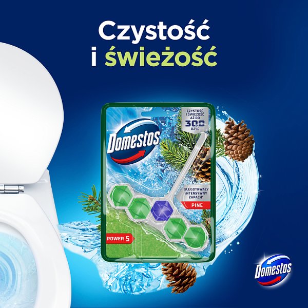 Domestos Power 5 Pine Kostka toaletowa 50 g