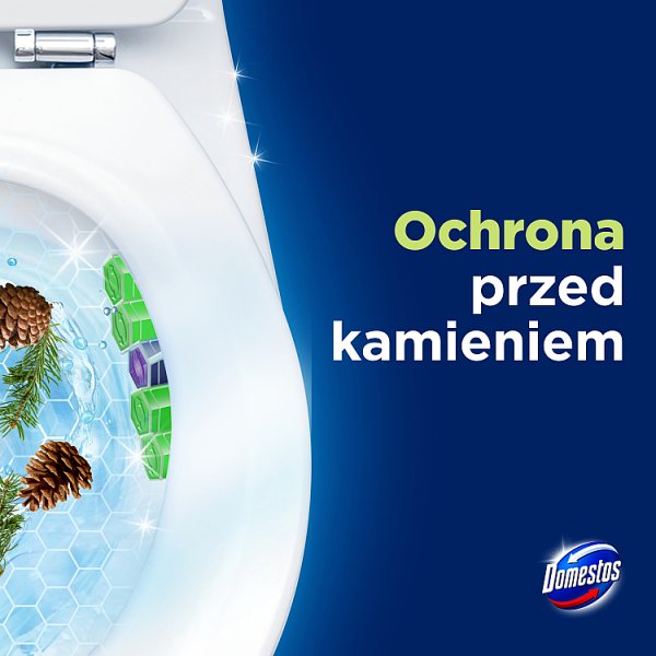 Domestos Power 5 Pine Kostka toaletowa 50 g