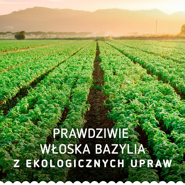 Barilla Pesto Basilico e Pistacchio Sos do makaronu 190 g