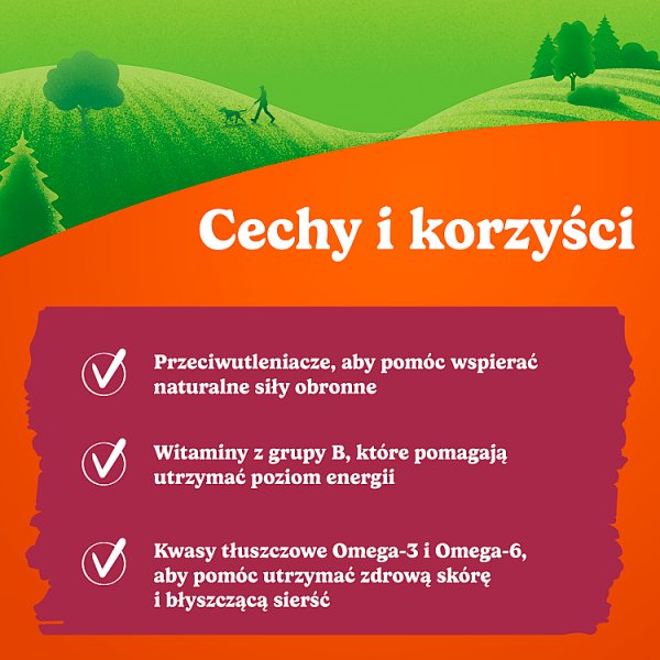 Friskies Beggin' Strips Uzupełniająca karma dla dorosłych psów o smaku bekonu 120 g