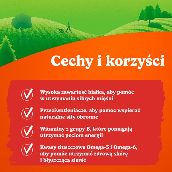 Friskies Picnic Uzupełniająca karma dla dorosłych psów z wołowiną 42 g (5 sztuk)