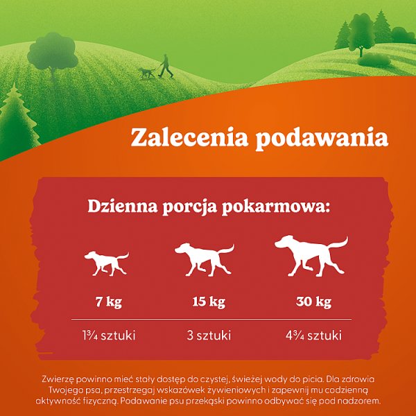 Friskies Picnic Uzupełniająca karma dla dorosłych psów z wołowiną 42 g (5 sztuk)