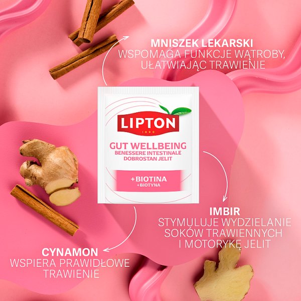 Lipton Herbatka ziołowa dobrostan jelit 38 g (20 torebek)