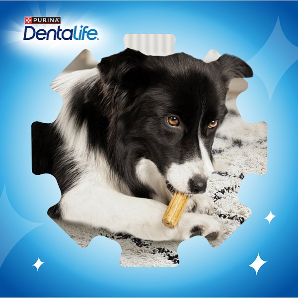 Dentalife Uzupełniająca karma dla dorosłych psów 25-40 kg 142 g (4 sztuki)