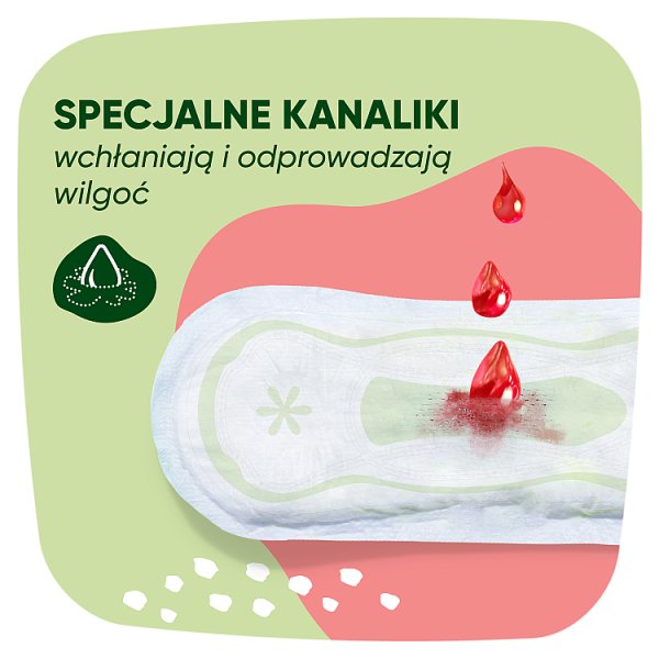 Naturella Classic Normal rozmiar 2 Podpaski ze skrzydełkami, × 18