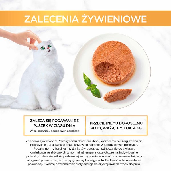 Gourmet Gold Karma dla kotów mus z indykiem 85 g
