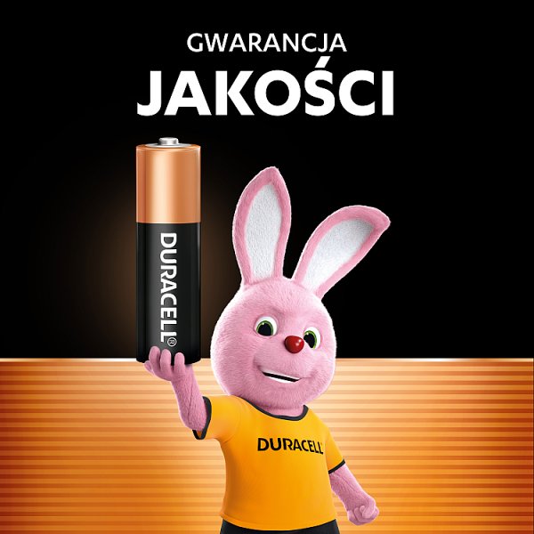 Duracell D2 LR20/MN1300 1.5 V/B Baterie alkaliczne 2 sztuki