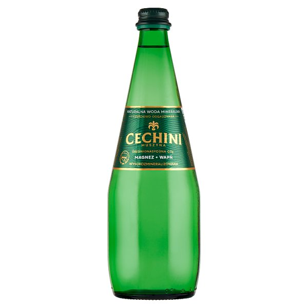 Cechini Muszyna Naturalna woda mineralna wysokozmineralizowana średnionasycona CO₂ 0,7 l