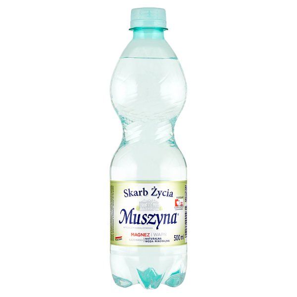 Muszyna Skarb Życia Naturalna woda mineralna wysokozmineralizowana gazowana 500 ml