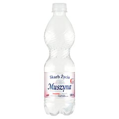 Muszyna Skarb Życia Naturalna woda mineralna wysokozmineralizowana niegazowana 500 ml
