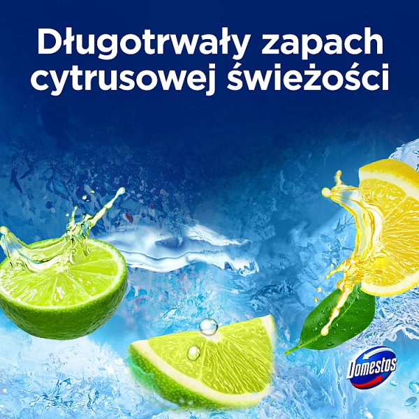 Domestos Power 5 Lime Kostka toaletowa 50 g