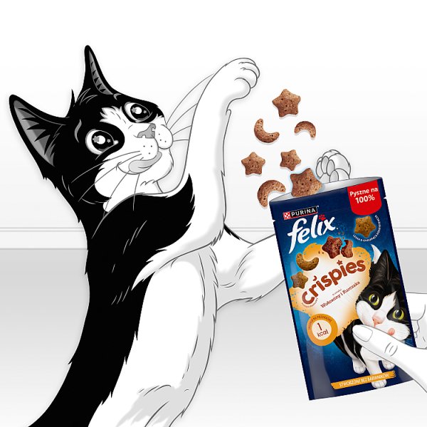 Felix Crispies Przekąski o smaku wołowiny i kurczaka 45 g