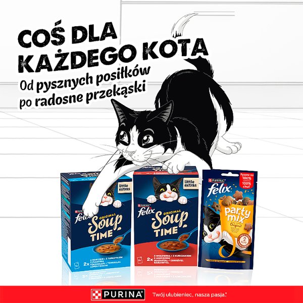 Felix Original Soup Time Karma uzupełniająca dla dorosłych kotów 6 x 48 g