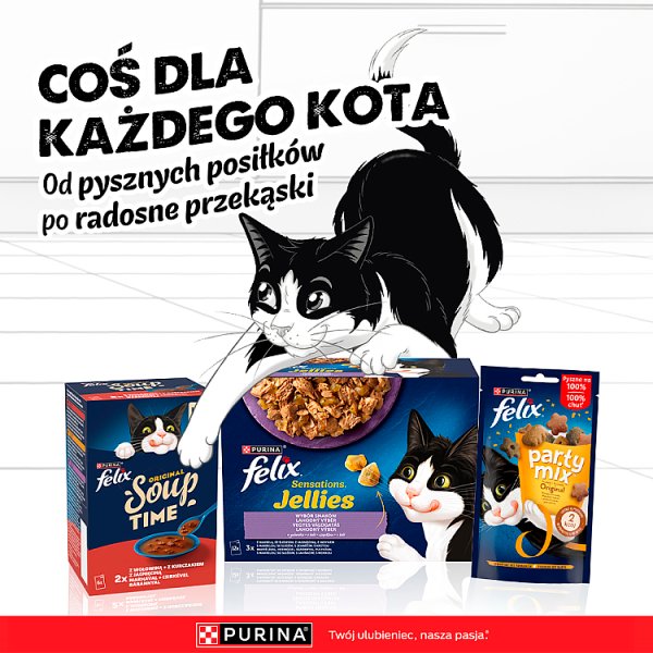 Felix Sensations Jellies Karma dla kotów wiejskie smaki w galaretce z warzywami 340 g (4 x 85 g)