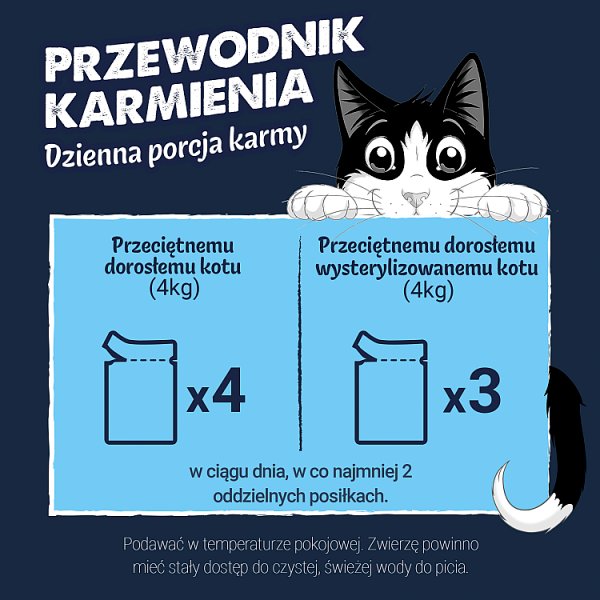 Felix Deliciously Sliced Karma dla dorosłych kotów rybne smaki w galaretce 4 x 80 g