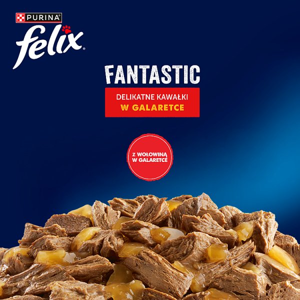 Felix Fantastic Karma dla dorosłych kotów z wołowiną 85 g