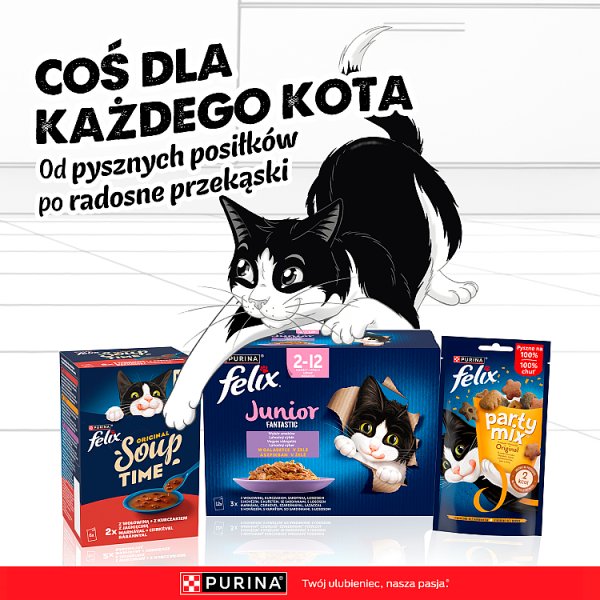 Felix Fantastic Junior Karma dla kociąt kurczak w galaretce 85 g