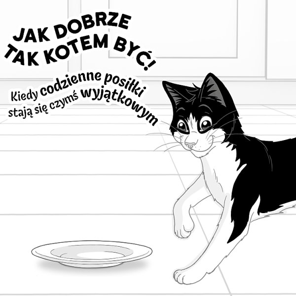 Felix Fantastic Karma dla kotów wiejskie smaki z warzywami w galaretce 340 g (4 x 85 g)