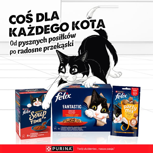 Felix Fantastic Karma dla kotów wiejskie smaki z warzywami w galaretce 340 g (4 x 85 g)