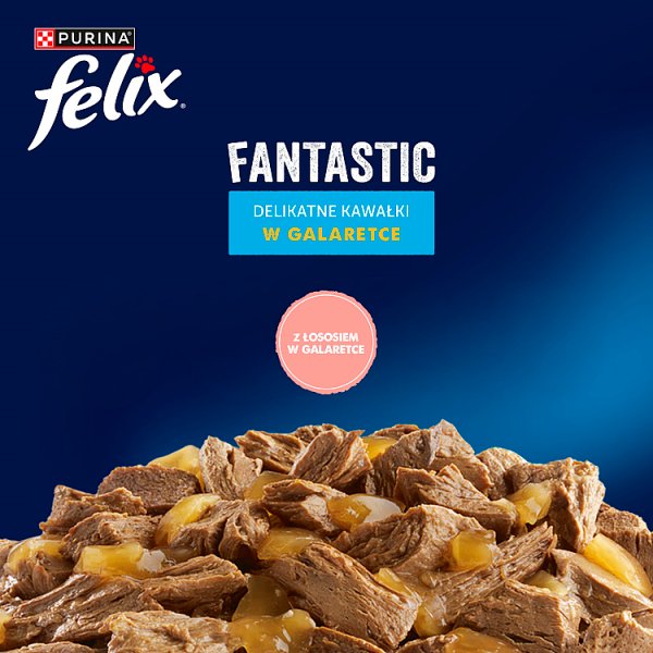 Felix Fantastic Karma dla kotów z łososiem w galaretce 85 g