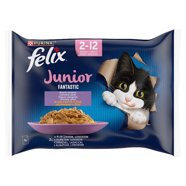 Felix Fantastic Junior Karma dla kociąt wybór smaków w galaretce 340 g (4 x 85 g)