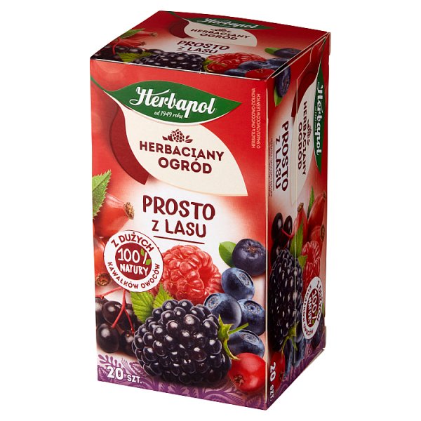 Herbapol Herbaciany Ogród Herbatka owocowo-ziołowa prosto z lasu 50 g (20 x 2,5 g)