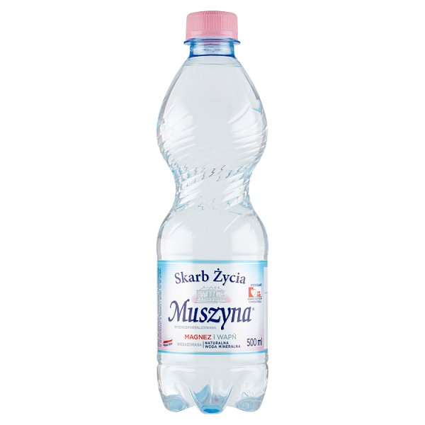 Muszyna Skarb Życia Naturalna woda mineralna wysokozmineralizowana niegazowana 500 ml