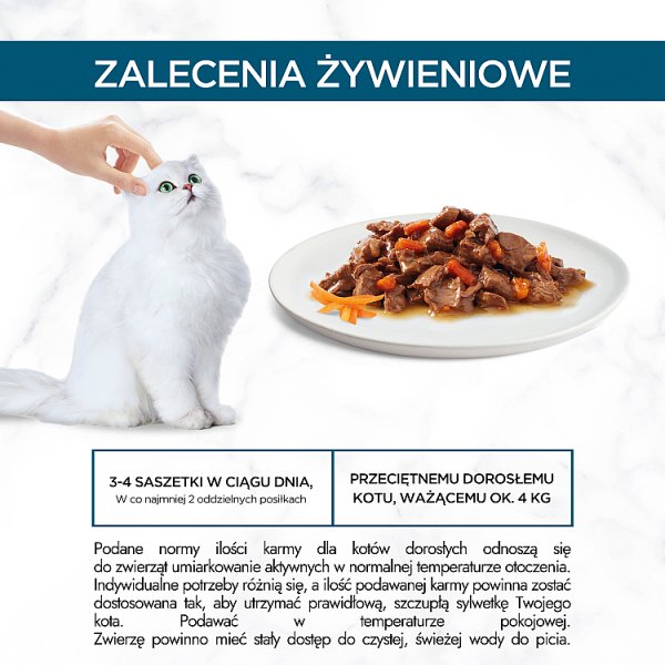 Gourmet Perle Karma dla kotów mini fileciki w sosie z wołowiną i marchewką 85 g