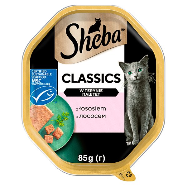 Sheba Classics Mokra karma dla dorosłych kotów w terynie z łososiem 85 g