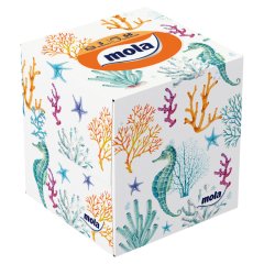 Mola Chusteczki kosmetyczne 3 warstwowe 58 sztuk