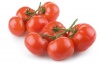 Pomidor czerwony krzak 