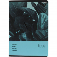 Zeszyt Top 2000 botany a5 60kartek, kratka