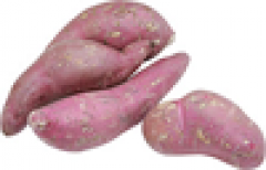 Ziemniaki słodkie bataty 