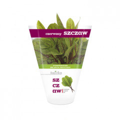 SZCZAW CZERWONY DONICZKA POLSKA 1SZT BAZIÓŁKA